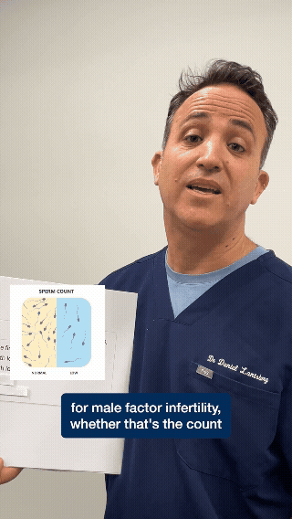 155.3k views on Tiktok!